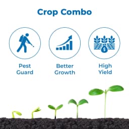 Ramban Combo (Neemz 500 ML + Forever 500 ML + NB-80 250 ML) For Initial Growth Stage Use In Any Crop 3