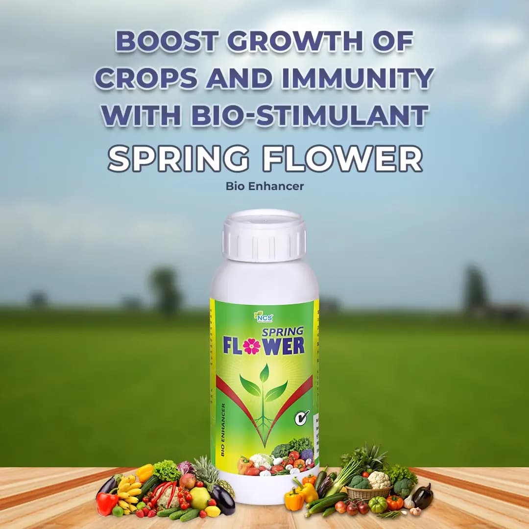 Spring Flower - Special Plant Bio-Stimulant for Enhancing Flowering and Promoting Rapid Growth - Image 2