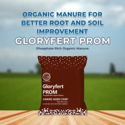 Gloryfert PROM, Phosphate Rich Organic Manure , Organic Granules ,Increase Activities Of Beneficial Micro Organisms In The Soil 2