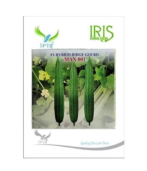 Iris Max 001 Ridge Gourd Seeds - (Turai Seeds) Attractive Green Color, Vigorous Plant