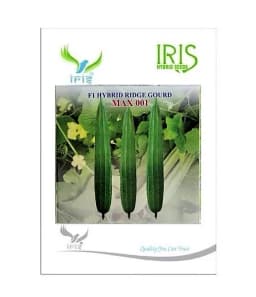 Iris Hybrid Vegetable Seeds F1 Hybrid RIdge Gourd Max001, Attractive Green Color, Vigorous Plant 2