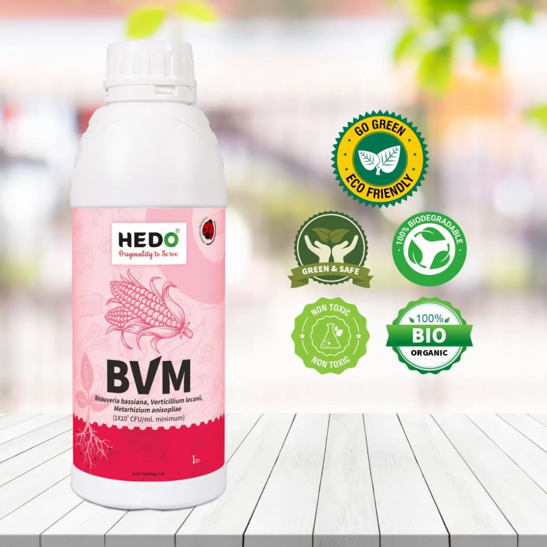 HEDO BVM (Beauveria bassiana + Verticillum Lecanii + Metarhizium Anisopliae) Liquid Bio Pesticide, Targets Many Pests, Including Aphids, Thrips, Etc - Image 5