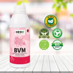 HEDO BVM (Beauveria bassiana + Verticillum Lecanii + Metarhizium Anisopliae) Liquid Bio Pesticide, Targets Many Pests, Including Aphids, Thrips, Etc 5