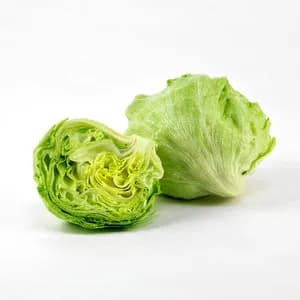 Urja Iceberg Lettuce Seeds, Light Green Fringed and Heavily Ruffled Outer Leaves - Image 1