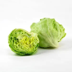 Urja Iceberg Lettuce Seeds, Light Green Fringed and Heavily Ruffled Outer Leaves