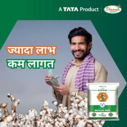 Tata Rallis Diggaz MC 5408 BG-II Hybrid Cotton Seeds, High Early Yield (475 Gm) 2