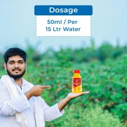 एग्रीवेंचर पेंडी सिल्वर (पेंडिमेथालिन 30% ईसी) का उपयोग प्री-इमर्जेंट खरतपरवारनाशक के रूप में किया जाता है 5