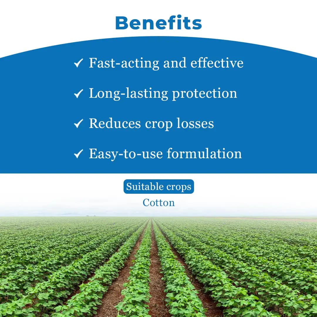 PI Roket Profenofos 40% + Cypermethrin 4% EC, Broad-Spectrum Insecticide Combination. - Image 4