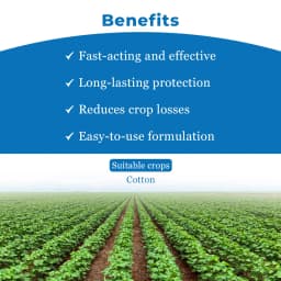 PI Roket Profenofos 40% + Cypermethrin 4% EC, Broad-Spectrum Insecticide Combination. 4