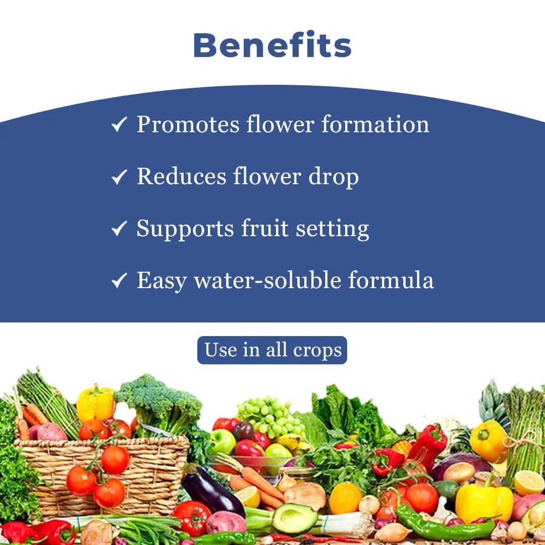 Mahadhan Flowering Special Fertilizer NPKS 9:27:18:7.5 , 100% Water Soluble Mixture Fertilizer, Use for All crops. - Image 4