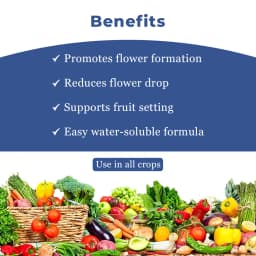 Mahadhan Flowering Special Fertilizer NPKS 9:27:18:7.5 , 100% Water Soluble Mixture Fertilizer, Use for All crops. 4