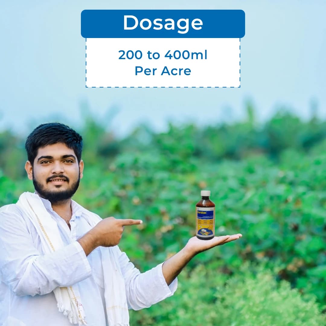 Crystal Dursban Chlorpyriphos 20%EC Insecticide, Broad-Spectrum Insecticide - Image 5