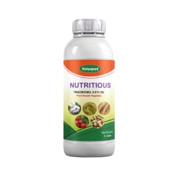 Katyayani Nutritious Triacontanol 0.1% EW Plant Growth Regulator for all Plants and Home Garden, Improves Quality and Yield 1