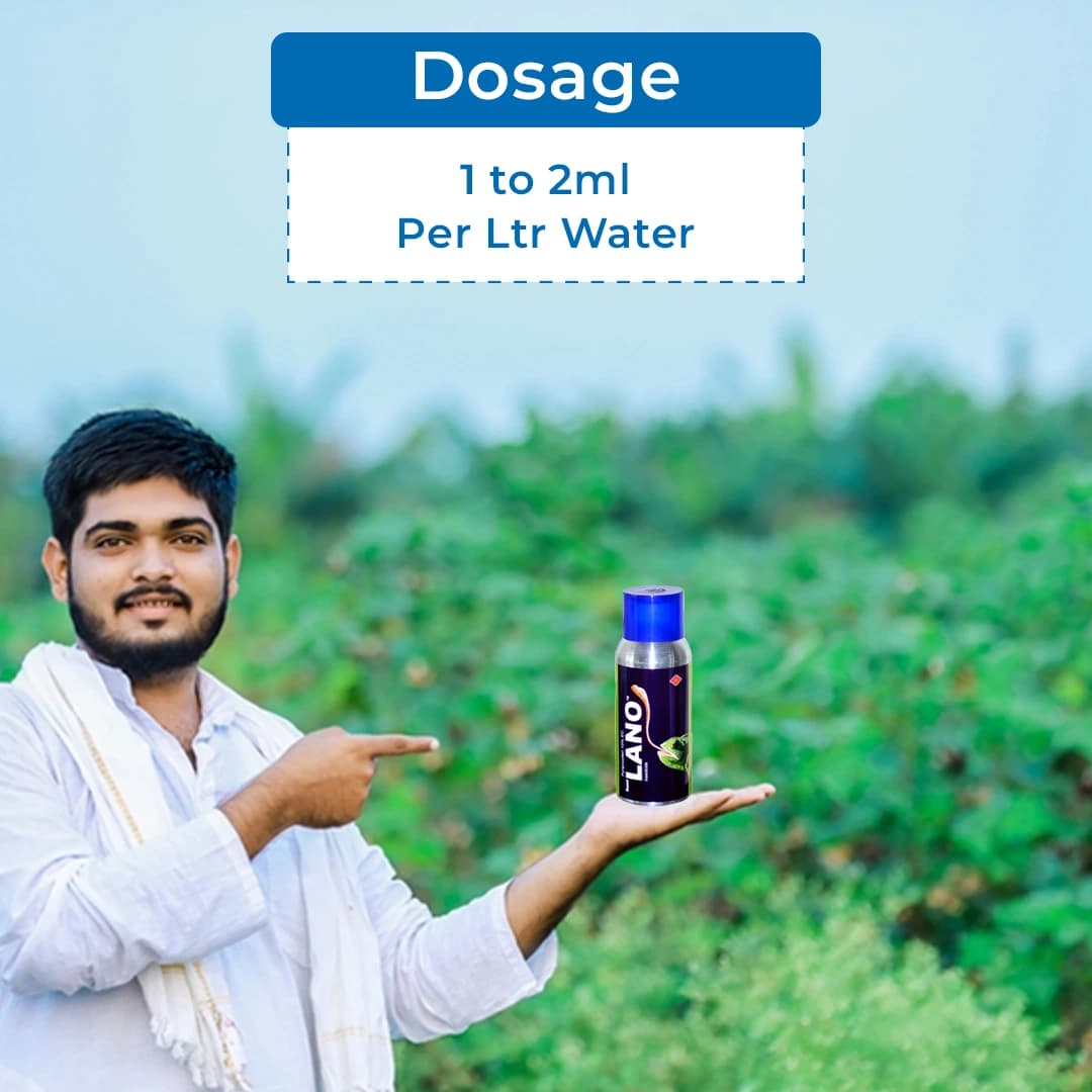 Sumitomo Lano Pyriproxyfen 10% SC Insecticides, Pyridine-Based Pesticide Used Against Variety Of Arthropoda. - Image 5