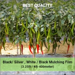 Siddhi Mulch Film, Zig Zag Holes Mulching Sheet, (1 Meter Width x 400 Meters Length) - Black and Silver - Image 2