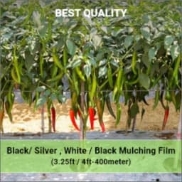Siddhi Mulch Film, Zig Zag Holes Mulching Sheet, (1 Meter Width x 400 Meters Length) - Black and Silver 2