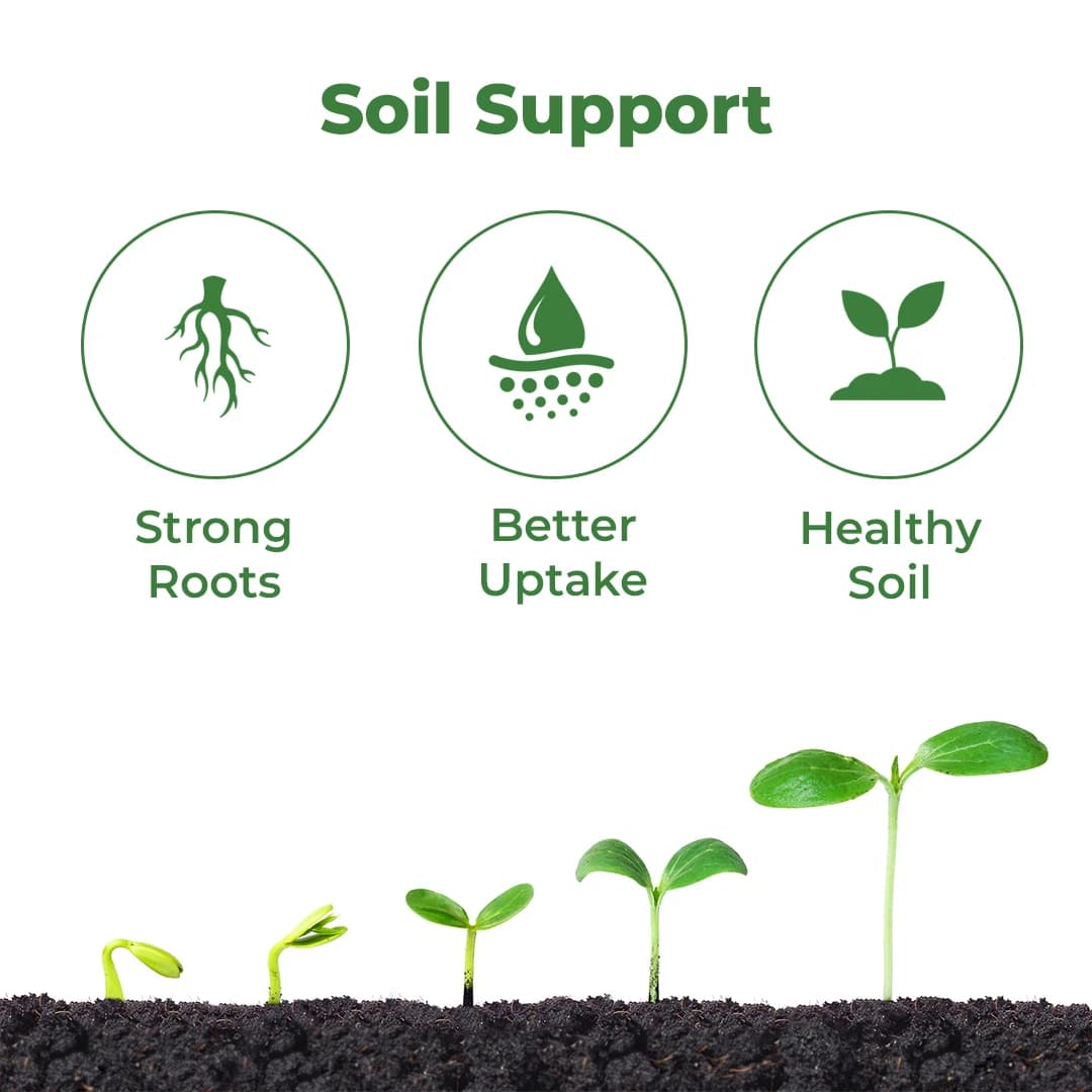 EBS VAM Bio Fertilizer (Vesicular Arbuscular Mycorrhizal) To Improve Soil Fertility In Your Farm & Garden - Image 3