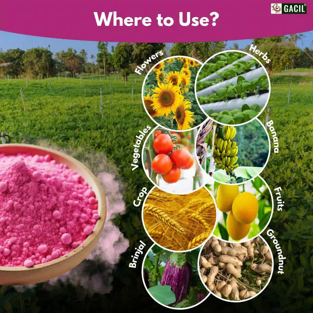 GACIL Plus Complete NPK 19:19:19 Fertilizer For Lush Vegetables, Juicy Fruits, And Stunning Flowers - Image 5