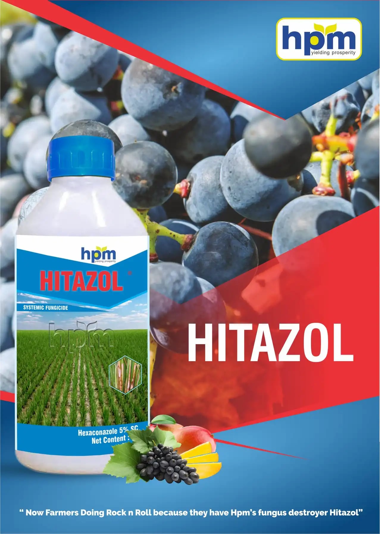 HPM Hitazol Fungicide for Effective Powdery Mildew & Sheath Blight Control