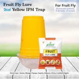 Green Revolution Yellow IPM Trap With Fruit Fly Lure, Efficient For Fruit Fly Control In All Fruit Crops 2