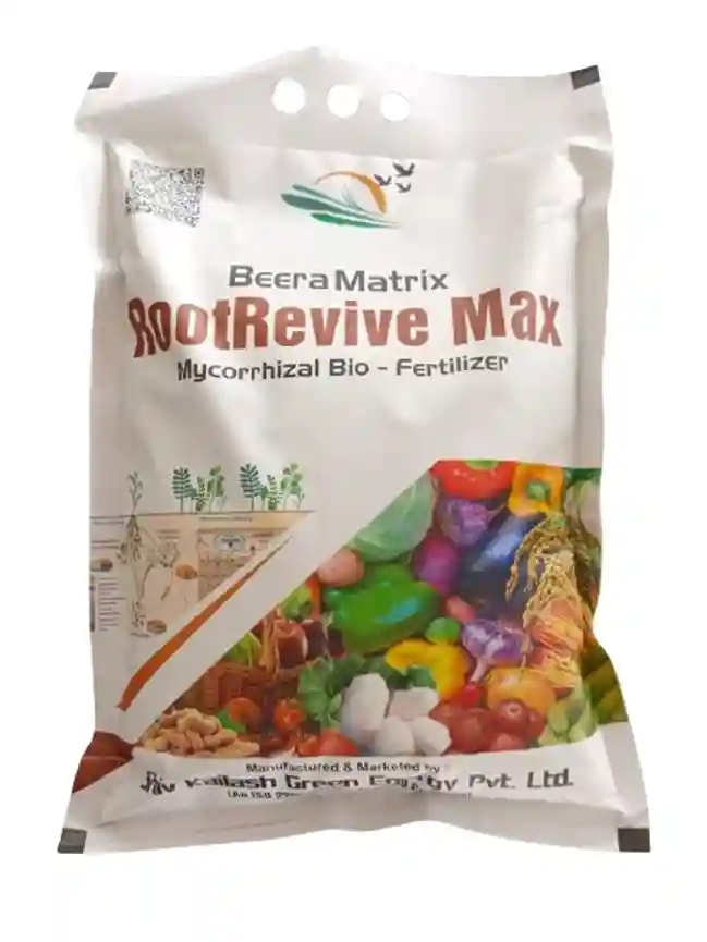 Shiv Kailash Root Revive Max Mycorrhiza Granules Bio Fertilizer, Designed To Enhance Plant Growth And Health