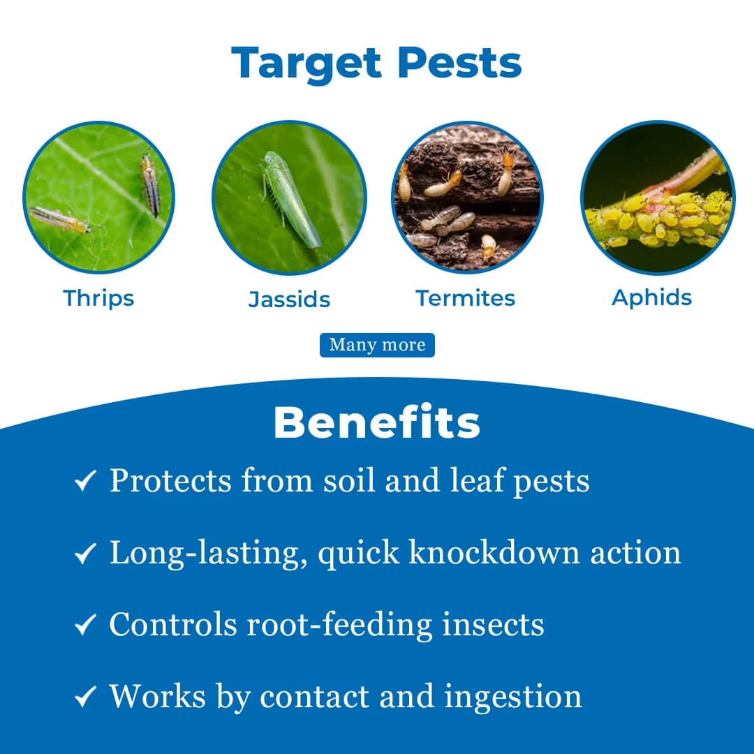 Best Agrolife Ghotu Clothianidin 50% WG Insecticide, Broad Spectrum Insecticide, Use For Grapes, Cotton, Sugarcane, Tea and Rice - Image 3