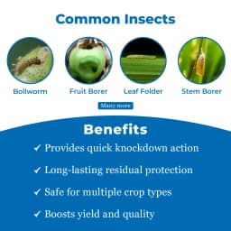 Agriventure Derin (Deltamethrin 11% Ec) Insecticide, Effective Controls Of Bollworm, Fruit Borer, Leaf Folder, Fruit Borer, Thrips 3