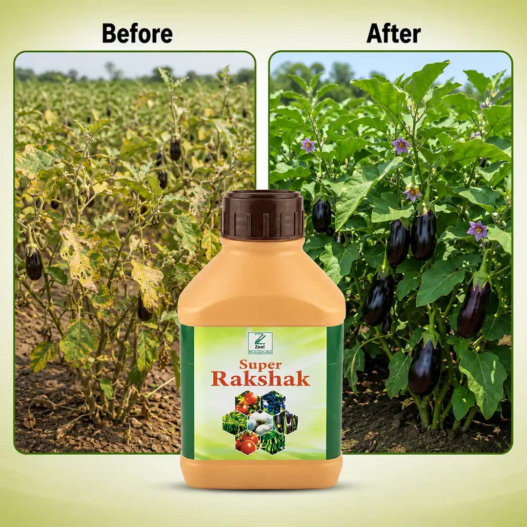 ஜீல் பயோலாஜிக்கல் ரக்ஷக் பயிர் பாதுகாப்பு லார்விசைடு, தாவர நோய் எதிர்ப்பை அதிகரிக்கும் & தண்டு அழுகல், வேர் அழுகல் போன்ற நோய்களைத் தடுக்கும் - Image 3