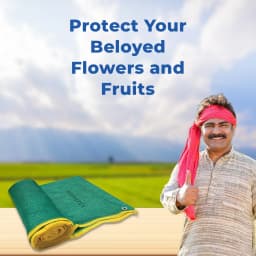 Mipatex Garden Shade Net 90% UV Stabilized Sun Protected Green House, Protect Flowers and Plants Green, Multi-Purpose Long Lasting Material 4