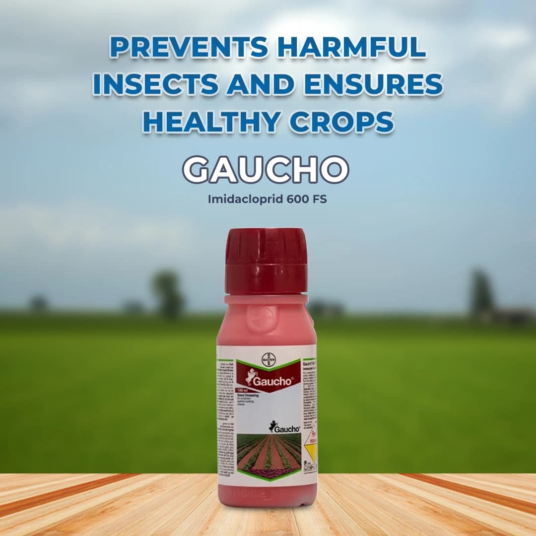 Bayer Gaucho Insecticide - Image 2