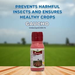 बायर गौचो - इमिडाक्लोप्रिड 600 एफएस (48% डब्ल्यू/डब्ल्यू) उपयोगकर्ता के अनुकूल बीज उपचार सूत्रीकरण 2