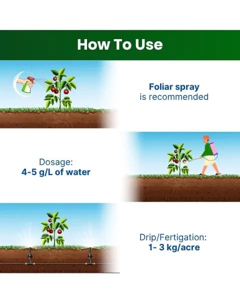Katyayani NPK 19:19:19 Fertilizer - Image 4