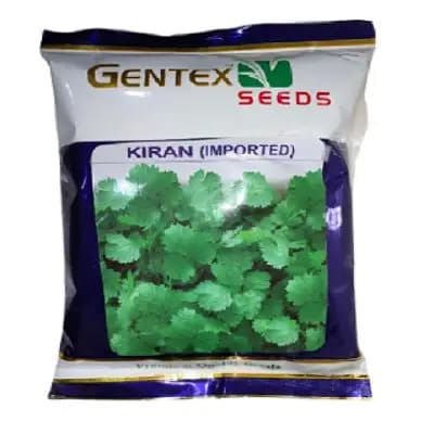 Gentex Imported Coriander Kiran Seeds 500gm. Dhaniya Ke Beej, Imported best Quality