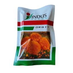 इंडस बीज ऑर्बिट एफ1 संकर गेंदा के बीज, सुनहरे पीले, गोल आकार के घने फूल, उच्च उत्पादन 2