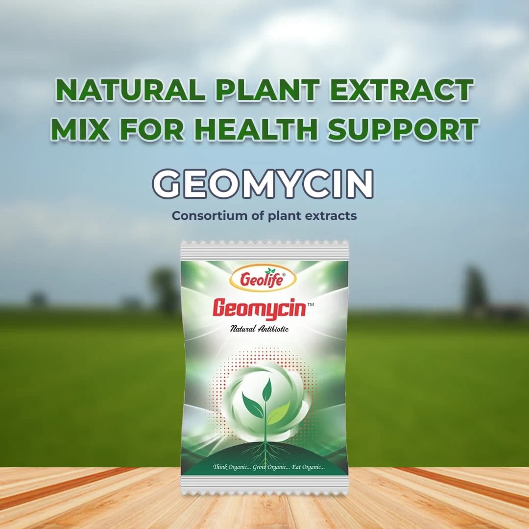 Geolife Geomycin Consortium Of Plant Extracts , Acts On Metabolic Processes Of Pathogens , Gives Complete Protection To Plant From Bacterial - Image 2