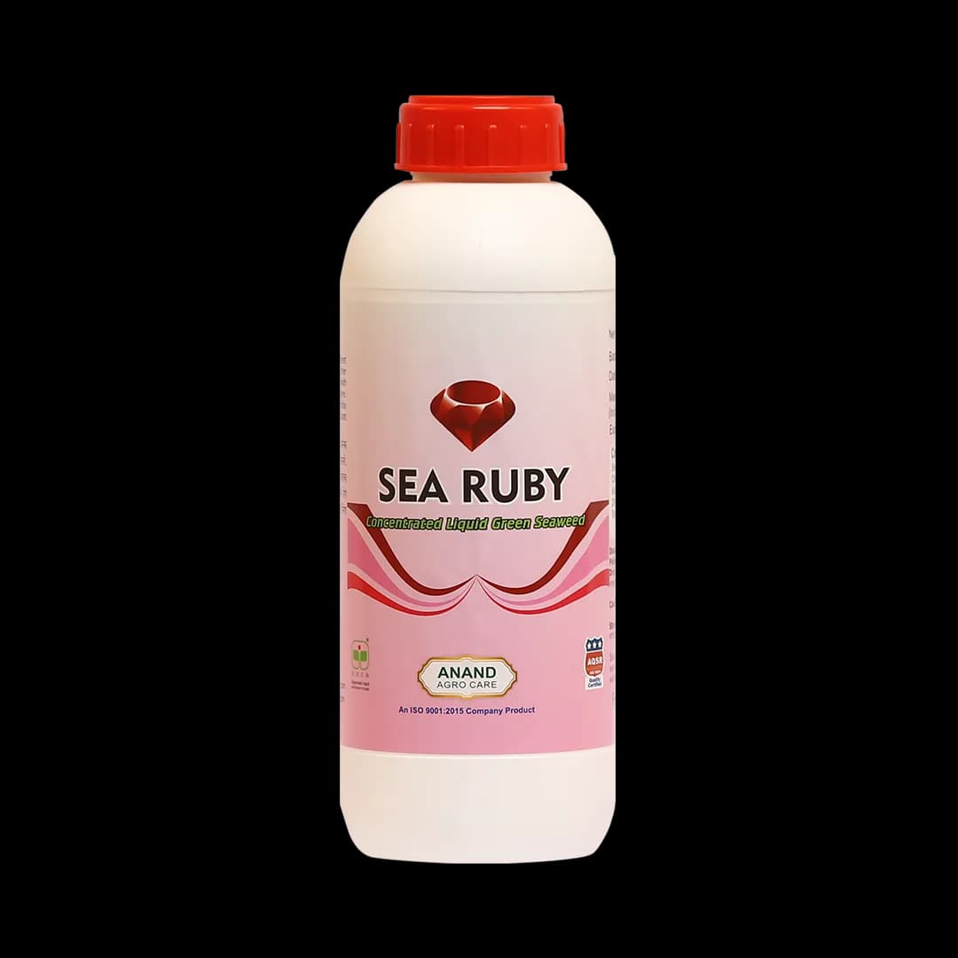 Anand Sea Ruby (Liquid) Green Seaweed Extract, Provides Natural N.P.K, Improves The Development Of Roots And Shoots