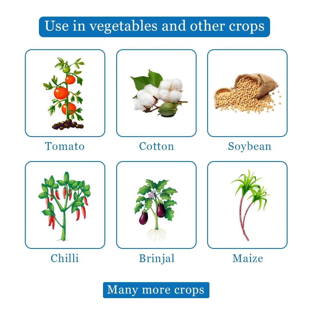 Aquarius Neem Booster Azadirachtin 0.15% min 1500 PPM Insecticide, Effective In All Types Of Crops - Image 4