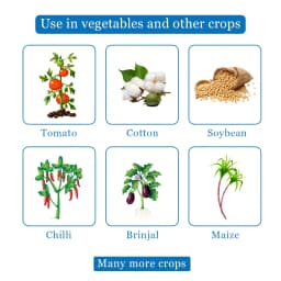 Aquarius Neem Booster Azadirachtin 0.15% min 1500 PPM Insecticide, Effective In All Types Of Crops 4