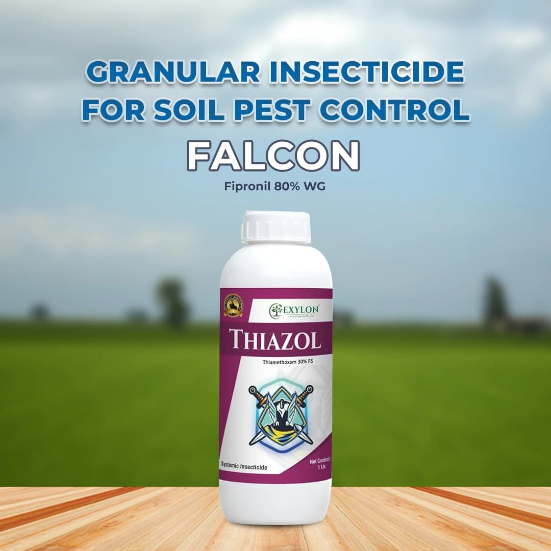 Exylon Thiazol Thiamethoxam 30% FS Insecticide, Efficient Seed Treatment For Early Pest Control - Image 2
