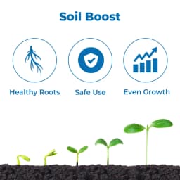 ईबीएस एनपीके कंसोर्टिया जैव उर्वरक, में जीवाणु होते हैं जो वातावरण से नाइट्रोजन और फास्फोरस को ठीक करते हैं, पौधों और बगीचे के लिए उपयोगी 3