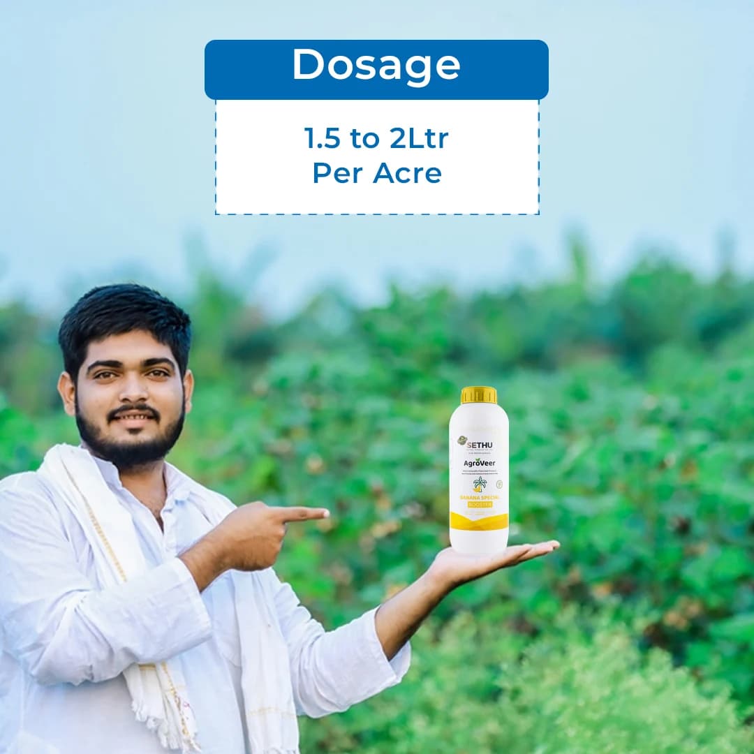 Agroveer Banana Special Booster, ICAR Patented Product, Contains Primary Nutrients, Secondary Nutrients And Micronutrients. - Image 5