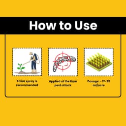 Katyayani OUTBURST Broflanilide 300 GL SC Insecticide, Effective Control Pests In Multiple Crops 5