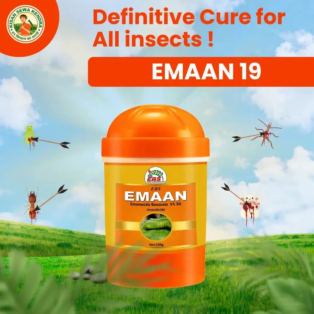 EBS Emaan Emamectin Benzoate 5% SG Insecticide, Controls Fruit And Shoot Borer Thrips, Mites. - Image 2
