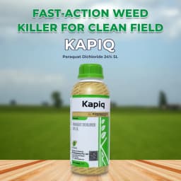 Krishi Rasayan Kapiq Paraquat Dichloride 24% SL Herbicide, Classified Broad Spectrum, Non Selective For Cotton, Tea And Potato 2