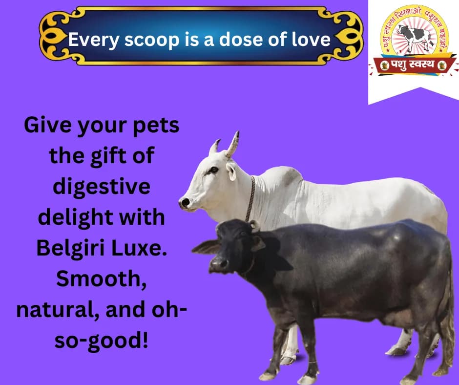 PASHU SVASTH BELGIRI POWDER, Pure Natural Herbs, Natural Cooling And Digestive Support For Animals - Image 4