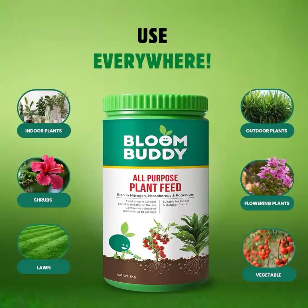 BloomBuddy All Purpose Plant Feed Granules, Organic Slow-Release Fertilizer with NPK & Micronutrients - Image 4