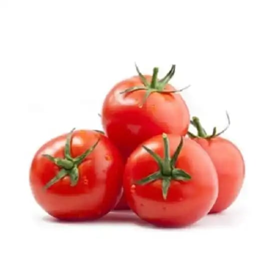 Jivit F1 Hybrid Tomato Seeds JS Red Ball, Tamater Ke Beej, Determine Vigorous Growing Variety.
