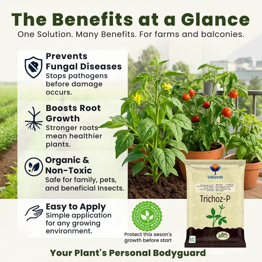 Utkarsh Trichoz-P (Trichoderma Viride 1.5% W.P.) Bio Pesticides, Protects Crop & Plants Against Soil-Borne Pathogens - Image 4