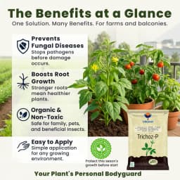 Utkarsh Trichoz-P (Trichoderma Viride 1.5% W.P.) Bio Pesticides, Protects Crop & Plants Against Soil-Borne Pathogens 4