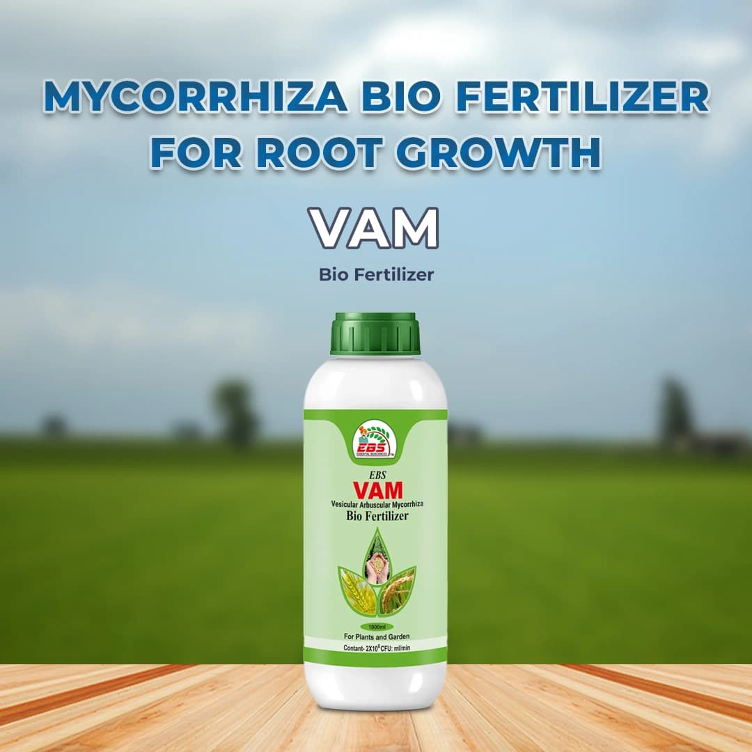 EBS VAM Bio Fertilizer (Vesicular Arbuscular Mycorrhizal) To Improve Soil Fertility In Your Farm & Garden - Image 2